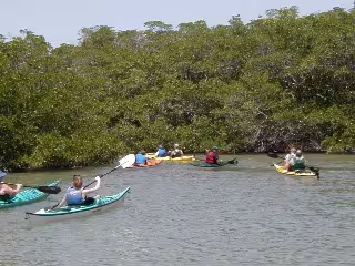 Adventure Sea Kayak