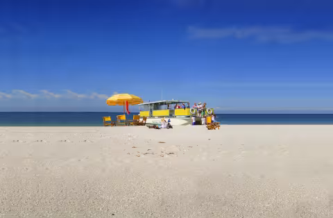 Adventures in Paradise Boat Cruises & Tours