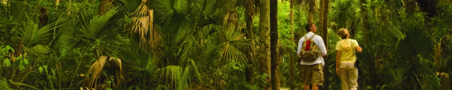 Neighborhood Spotlight: Estero