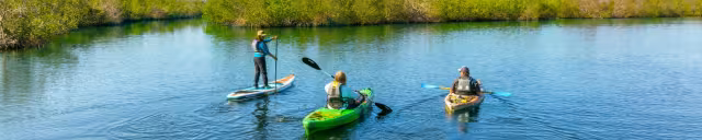 Diana and Bryan Stockbridge – Finding Tranquility in Nature