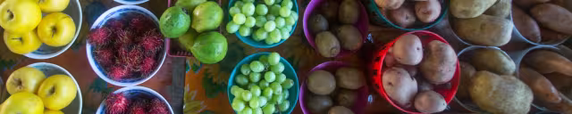 Your Guide to Farmers Markets in Southwest Florida
