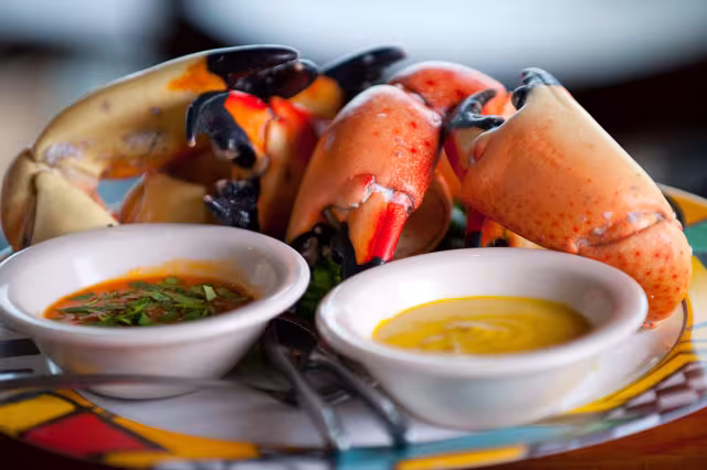 Another Claws for Celebration in Fort Myers