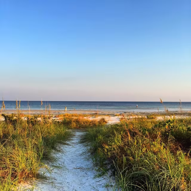 Quick Tips on How to Beach Responsibly