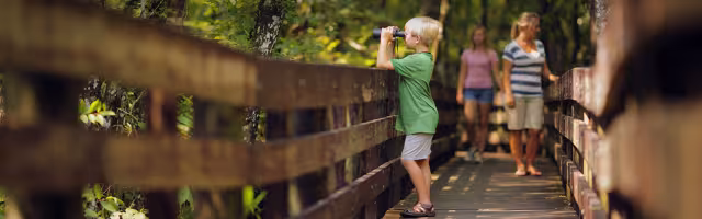 Top Wildlife Walks and Nature Hikes in Southwest Florida