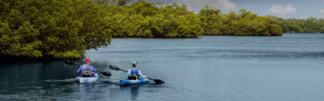 Back on the Water