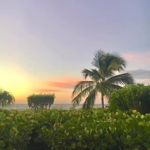 Springtime Fun in Fort Myers