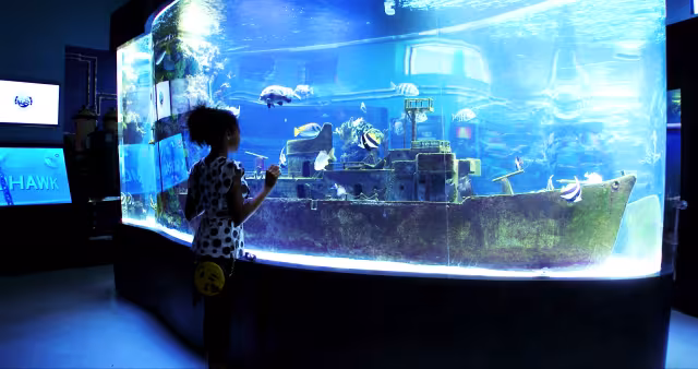 5 Reasons to Visit the IMAG History & Science Center